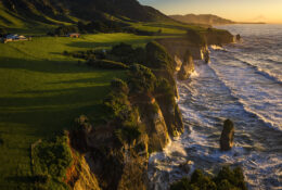 New Zealand 2025 (2 group) (63/84)